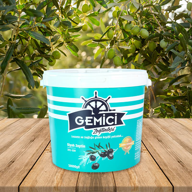 Image-HasTech